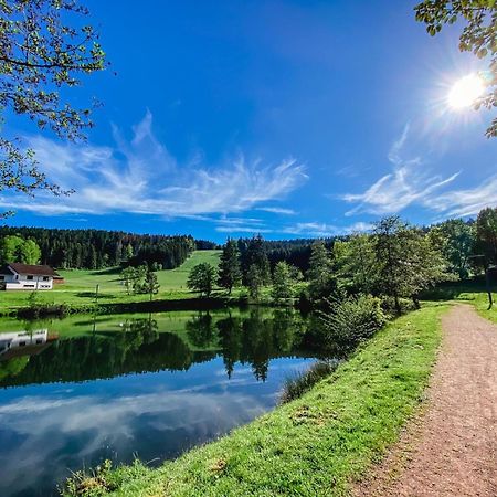 Ferienwohnung "Am Skilift" Herrischried エクステリア 写真