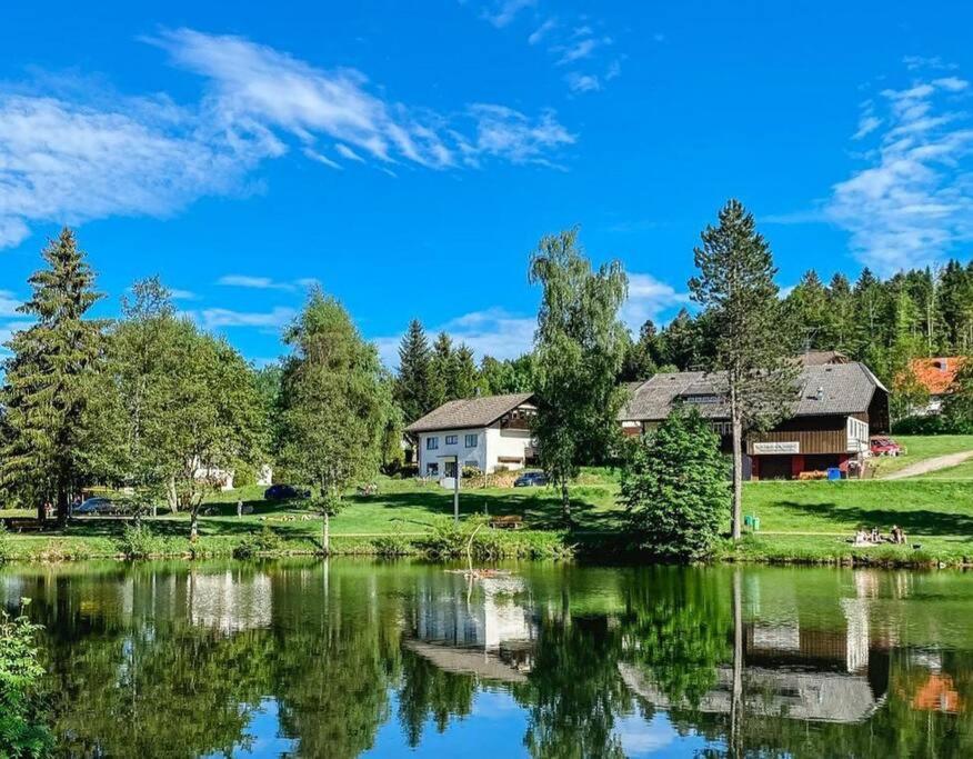 Ferienwohnung "Am Skilift" Herrischried エクステリア 写真