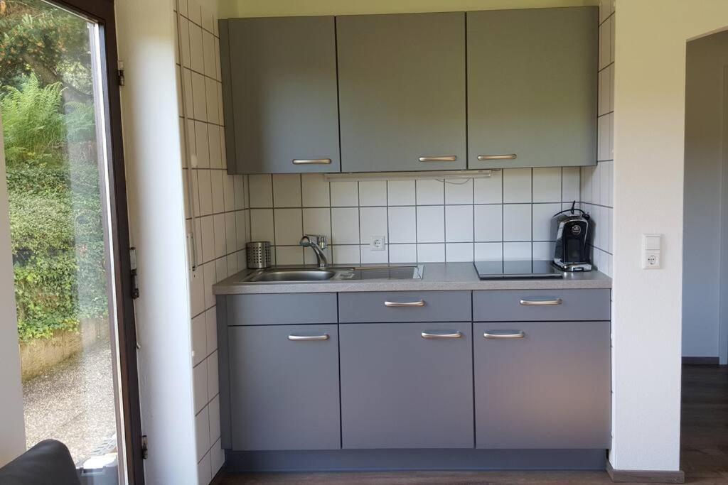 Ferienwohnung "Am Skilift" Herrischried エクステリア 写真