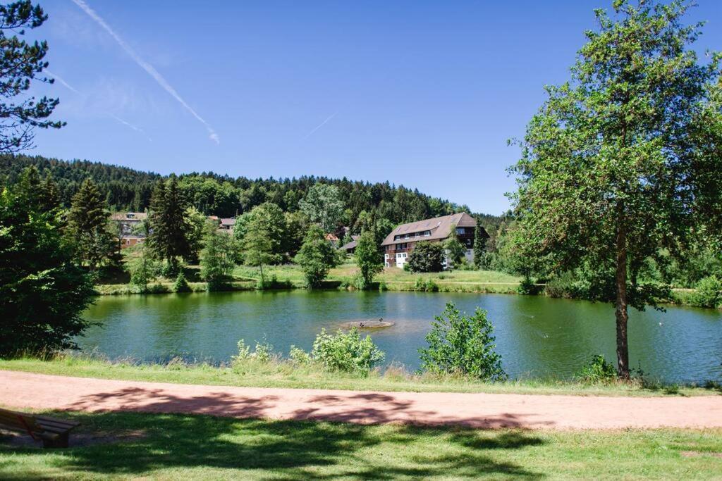 Ferienwohnung "Am Skilift" Herrischried エクステリア 写真