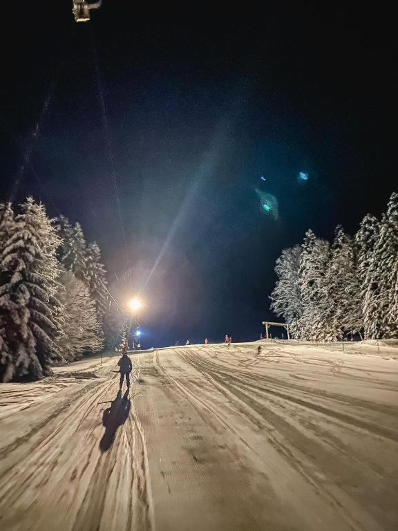 Ferienwohnung "Am Skilift" Herrischried エクステリア 写真