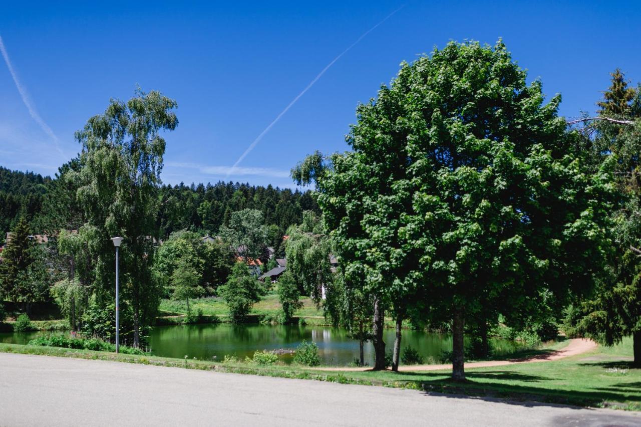 Ferienwohnung "Am Skilift" Herrischried エクステリア 写真