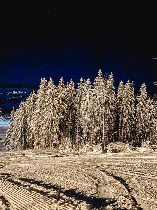 Ferienwohnung "Am Skilift" Herrischried エクステリア 写真