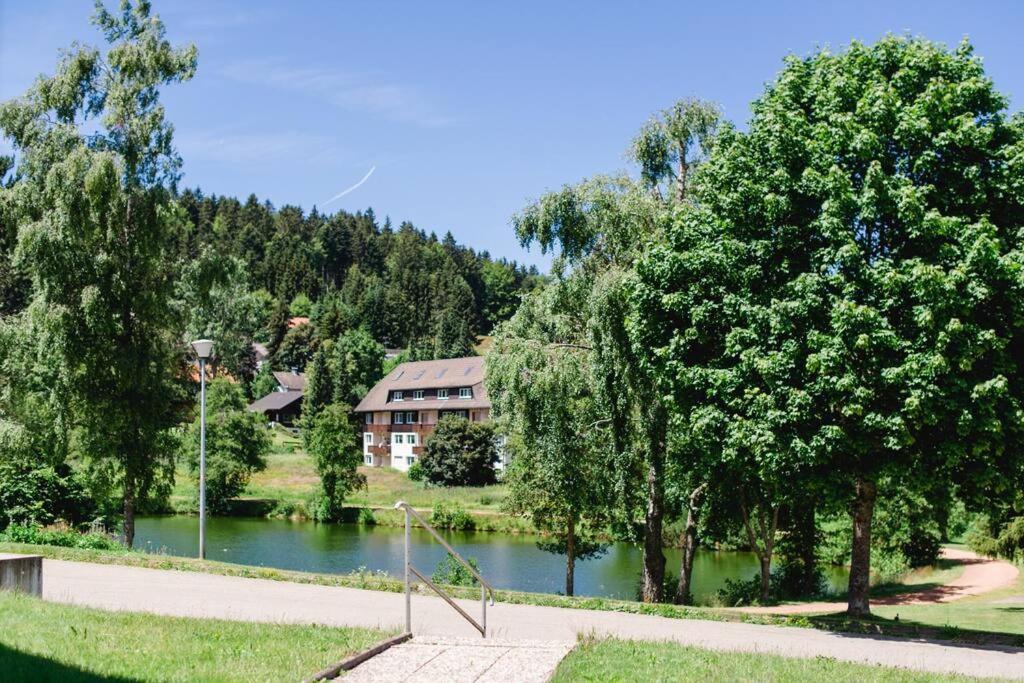 Ferienwohnung "Am Skilift" Herrischried エクステリア 写真