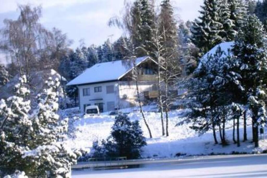 Ferienwohnung "Am Skilift" Herrischried エクステリア 写真