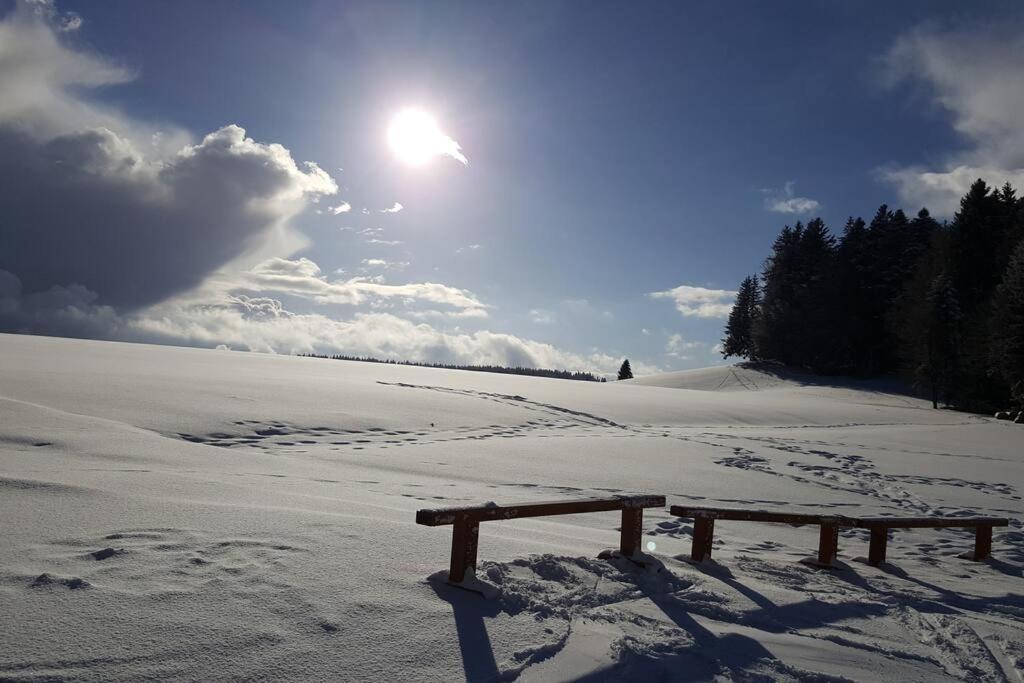 Ferienwohnung "Am Skilift" Herrischried エクステリア 写真