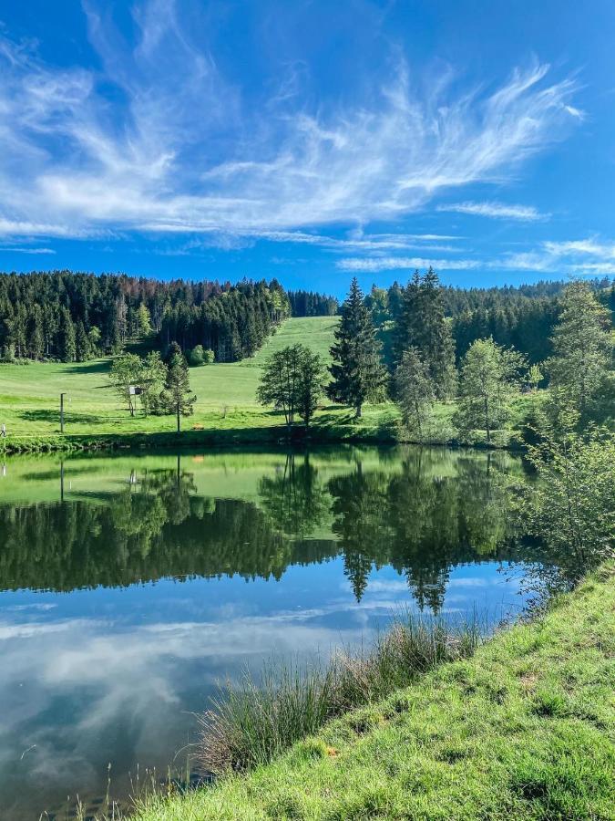 Ferienwohnung "Am Skilift" Herrischried エクステリア 写真