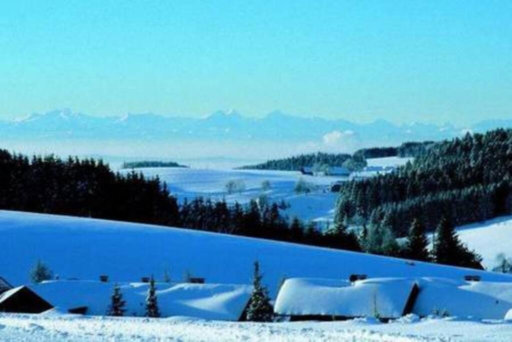 Ferienwohnung "Am Skilift" Herrischried エクステリア 写真