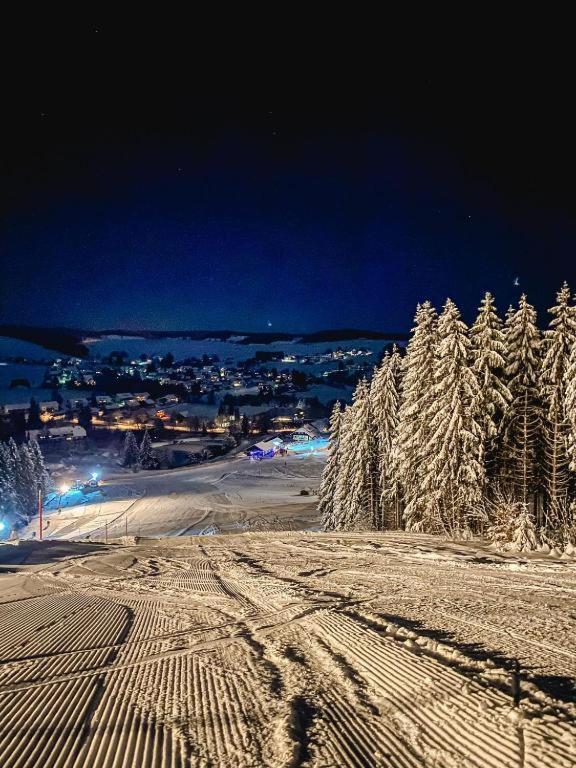 Ferienwohnung "Am Skilift" Herrischried エクステリア 写真