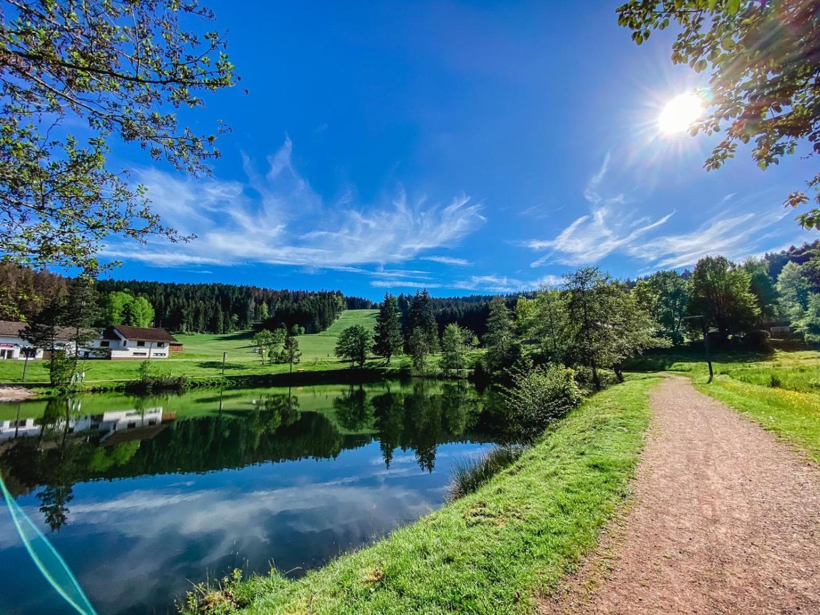 Ferienwohnung "Am Skilift" Herrischried エクステリア 写真